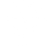 strategy-icon