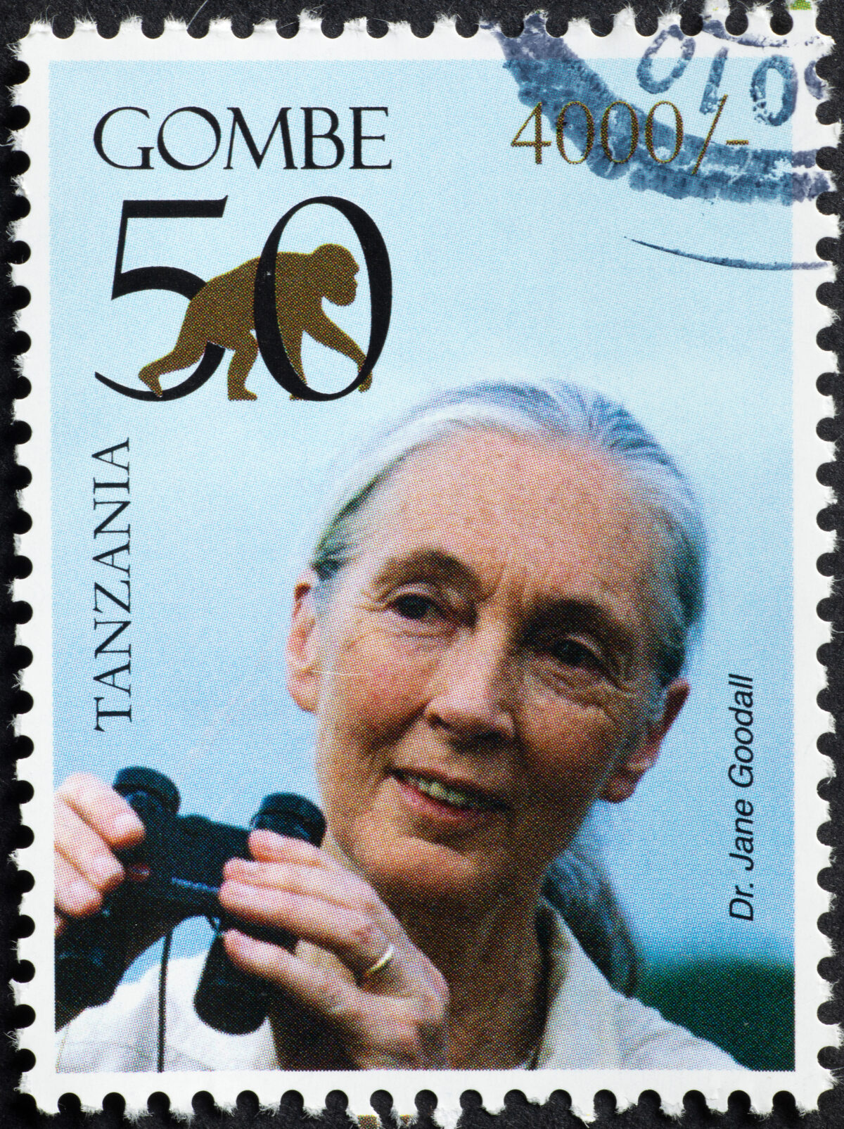 she matters, science, women in science, success story, Jane Goodall
